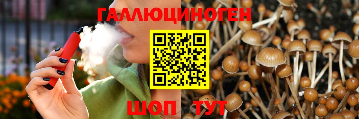 Галлюциногенные грибы MAGIC MUSHROOMS  Вход с VPN  Саранск  Галлюциногенные грибы Psilocybe 